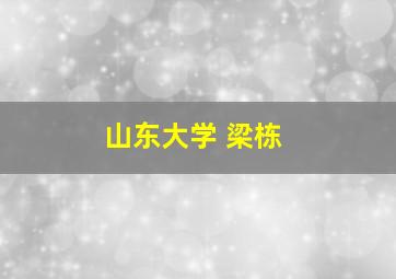 山东大学 梁栋